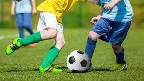 IM电竞网页版官网 资讯 130452 x1m