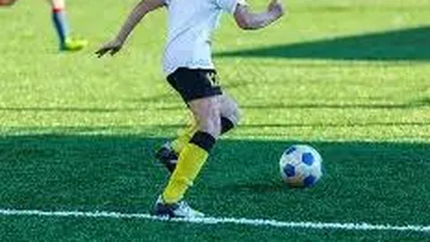 IM电竞网页版官网 资讯 130754 qw8