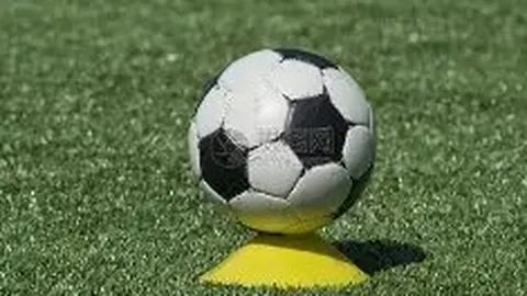 IM电竞网页版官网 资讯 130813 ofv