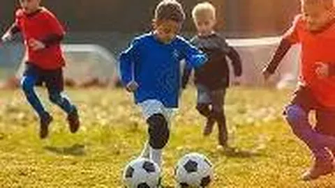 IM电竞网页版官网 资讯 104256 fe5