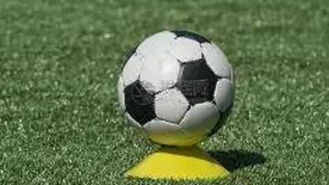 IM电竞网页版官网 资讯 105411 950